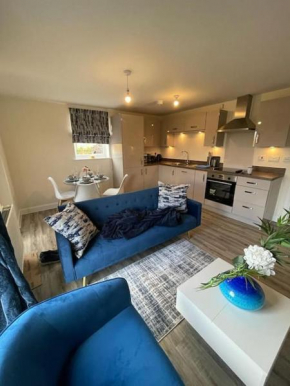 Luxurious Apartment in Brooklands